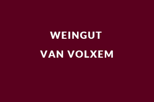Van Volxem